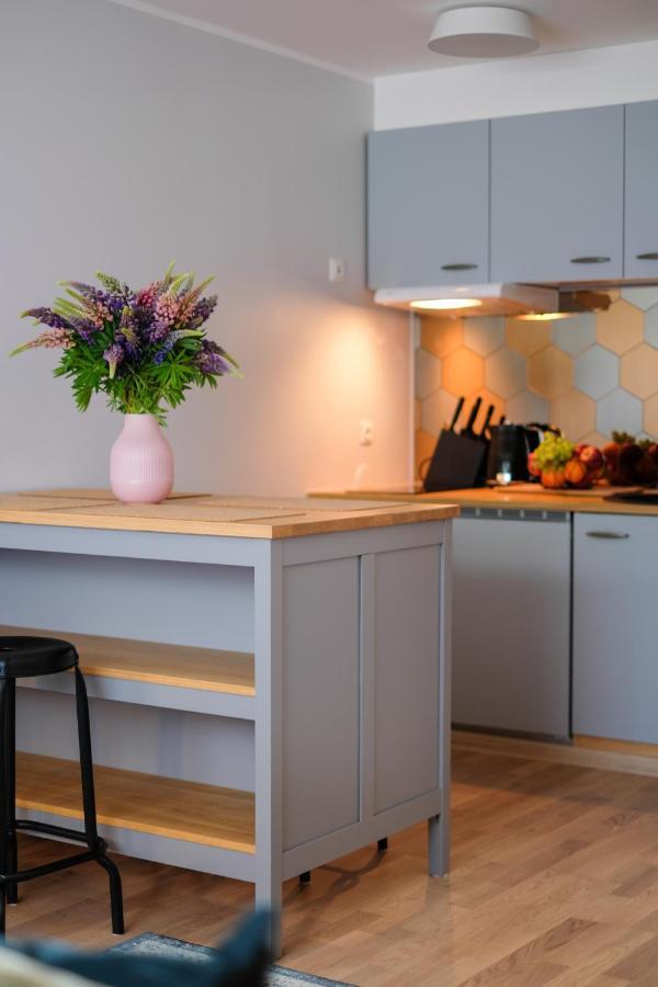 Ohtu Poik 2 City Center Basement Apartment Parnawa Zewnętrze zdjęcie